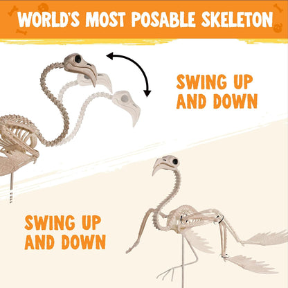 JOYIN Flamingo Skeleton Halloween Decorations 27.6 Inch Tall Spooky Flamingo Posable Animal Skeleton with Movable Joints for Halloween Indoor Outdoor Yard Garden Lawn Patio Prop Decor