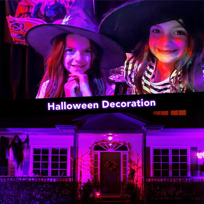 Halloween LED Black Light: 15W Spot Lights Outdoor UV Spotlight for Halloween Christmas | 2 PacK 110V Plug-in Blacklight with IP65 Waterproof for Party Body Paint Fluorescent Poster Neon Glow