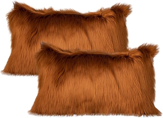 LIGICKY Set of 2 Decorative Lumbar Soft Faux Fur Throw Pillow Cover Luxury by LIGICKY