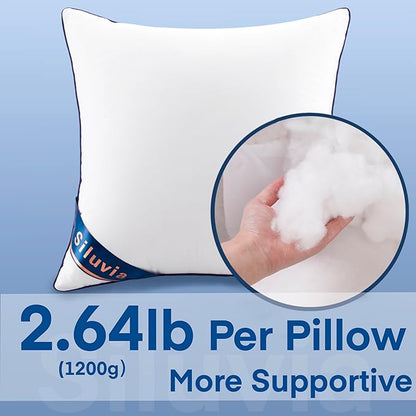 Siluvia 24x24 Pillow Inserts Set of 2 Square Throw 24 Euro Pillows - Image 2