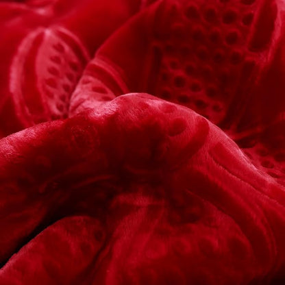 Hiyoko 11.5lbs Heavy 2Ply Embossed Blanket Reversible - Image 5