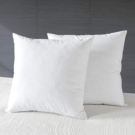 APSMILE Organic 20x20 Feather Down Throw Pillow Inserts Set of 2, 100% Cotton by APSMILE