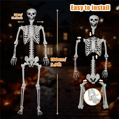 5.9ft/180cm Posable Halloween Skeleton, Life Size Skeleton Bones with Movable Joints for Halloween Graveyard Haunted House Spooky Scene Decor, 1pc