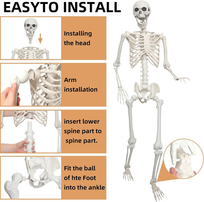Lodou 5.4Ft Posable Life Size Human Skeleton for Halloween Decoration