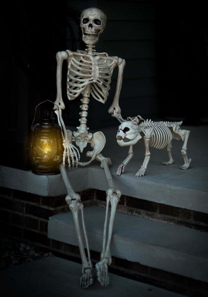 Crazy Bonez Original Pose-N-Stay Halloween Skeleton, 5 FT – Life-Size