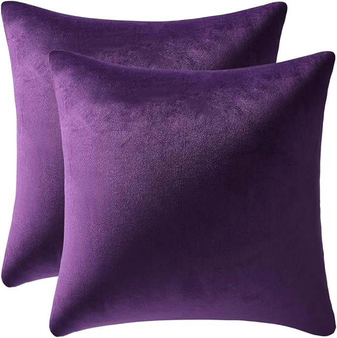 20x20 Throw Pillow Cases Purple: 2 Pack Cozy Soft Velvet Square Decorative by DEZENE