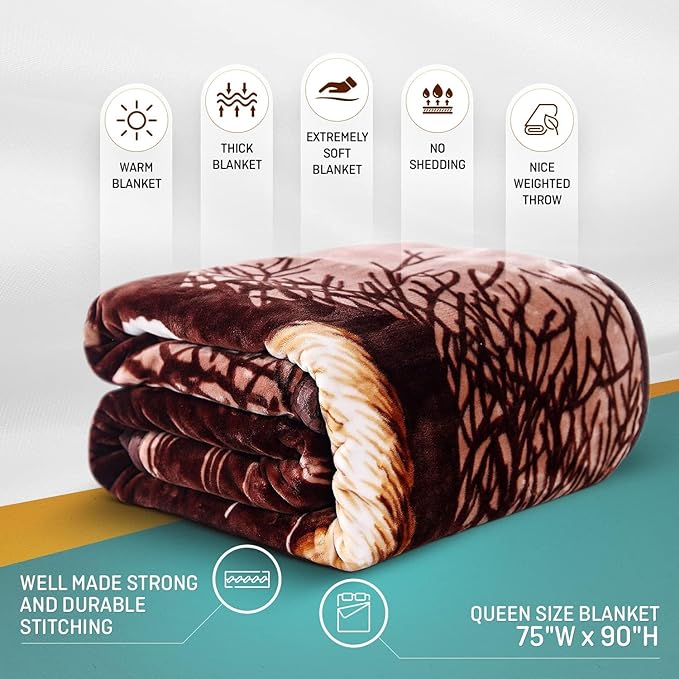 Tiger Animal Print Blanket 5.3 Lbs - Image 2
