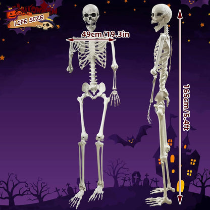 Lodou 5.4Ft Posable Life Size Human Skeleton for Halloween Decoration