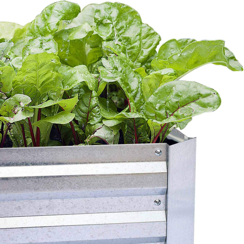 Galvanized Raised Garden Bed 8x4x1ft Single Unit