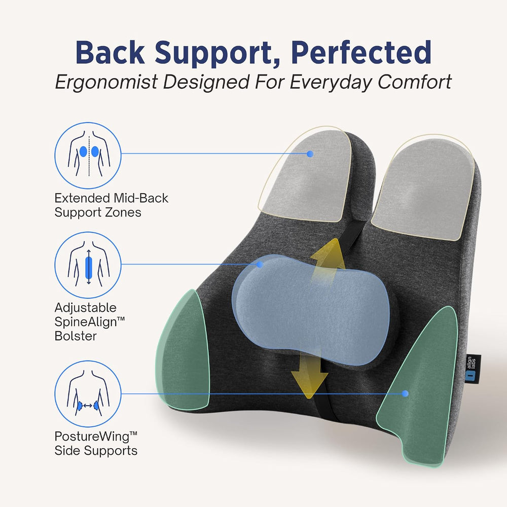 The Forme Cushion - Premium Ergonomic Lumbar Support Pillow