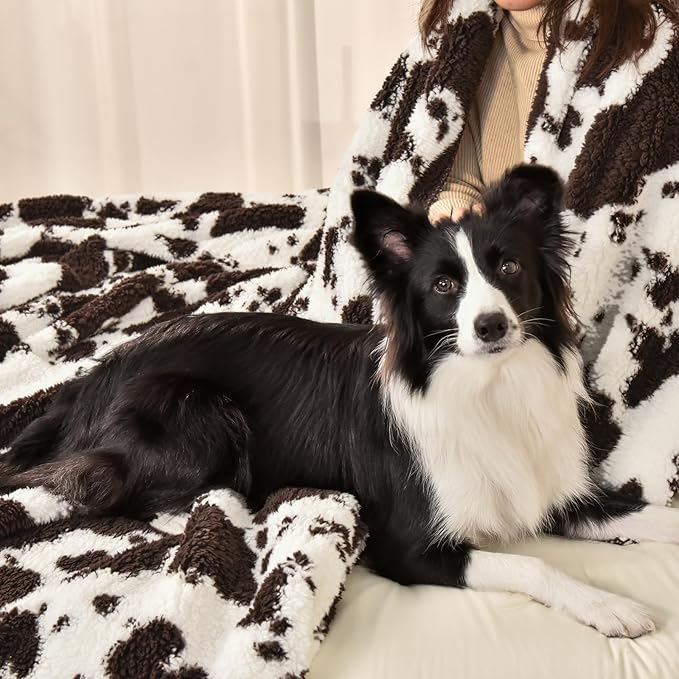 PHF Cute Cow Print Sherpa Blanket Twin Size - Image 2