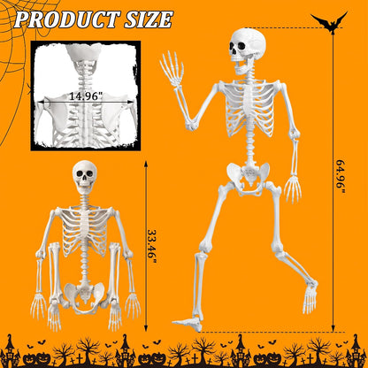 5.4FT/165cm Halloween Life Size Human Skeleton with Full Body Posable Joint