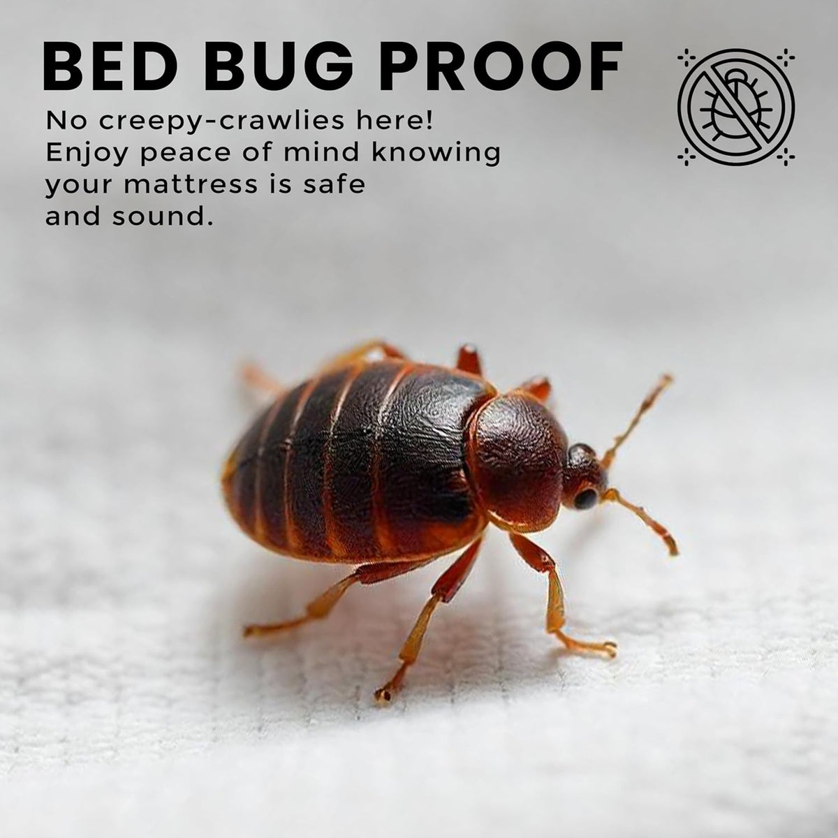 waterproof zippered mattress protector queen size, 12" deep, side view