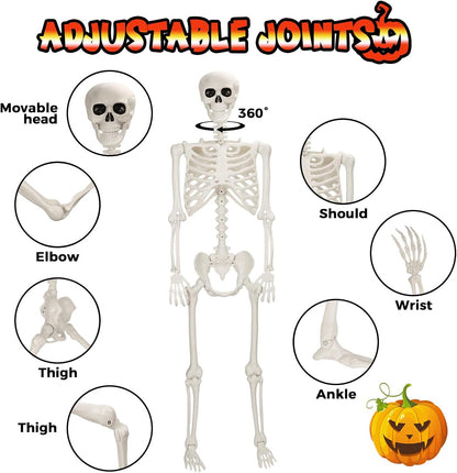 5.4 FT Halloween Life Size Skeleton, Full Size Skeleton Poseable