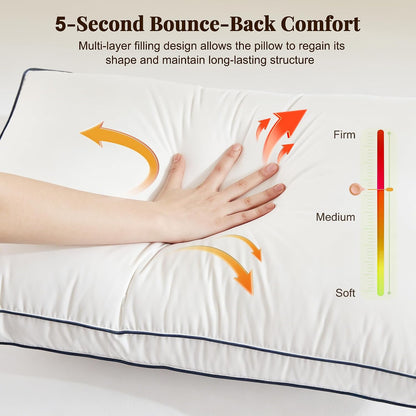 goose feather and down pillows queen size set, package contents