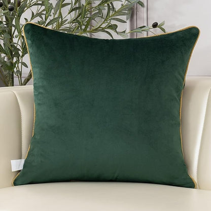 Aeckself European Luxury Velvet Throw Pillow Cover 16 x 16 Inch, Embroidery - Image 2