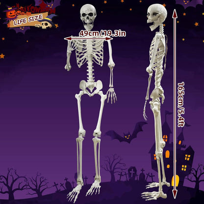 Lodou 5.4Ft Posable Life Size Human Skeleton for Halloween Decoration