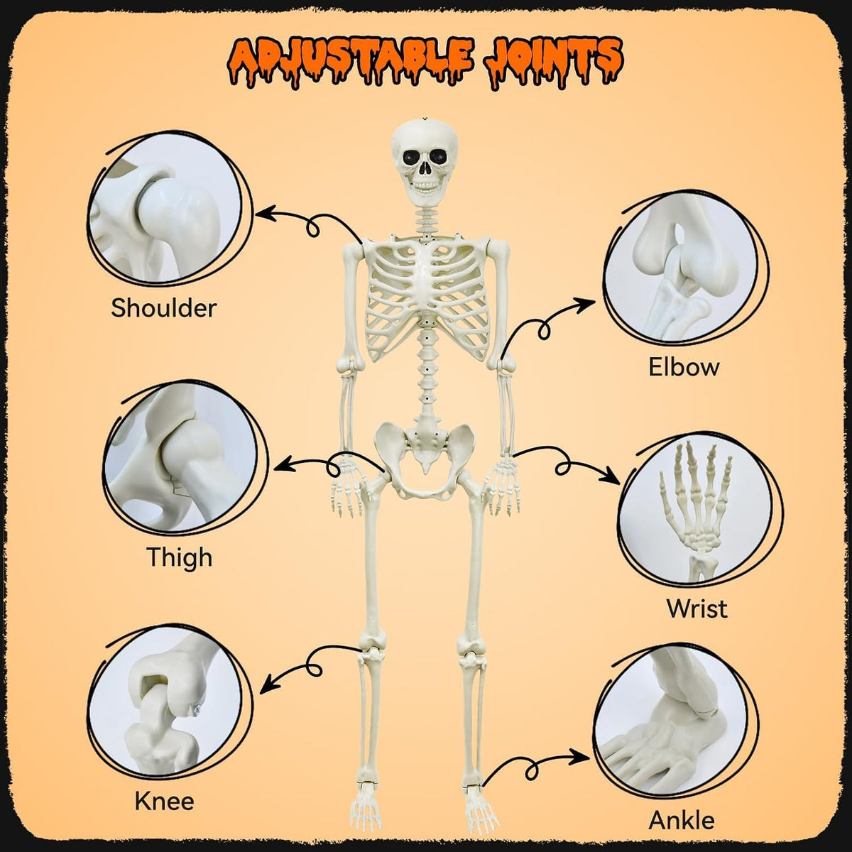 Halloween Decorations Outdoor 5.4Ft Life-Size Realistic Posable Skeleton