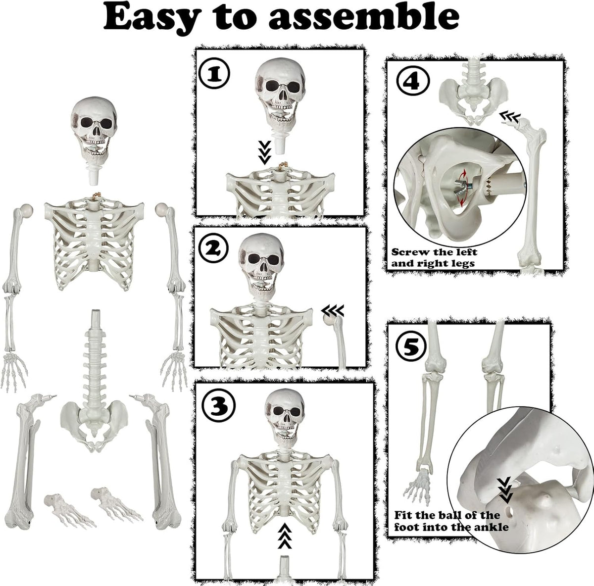5.9ft Halloween Life Size Skeleton Realistic Full Body Skeletons Plastic Human Bones with Movable Joints for Halloween Props Spooky Party Decoration