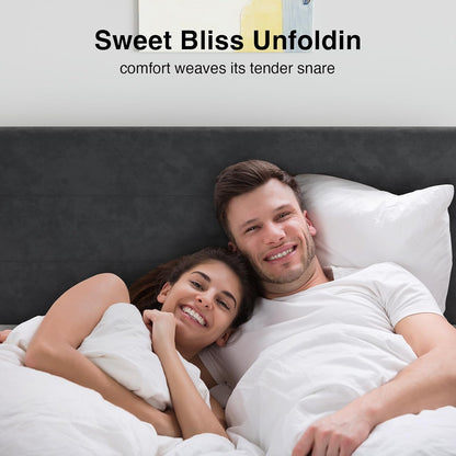 novilla queen bed frame, queen size bed frame, front angle view