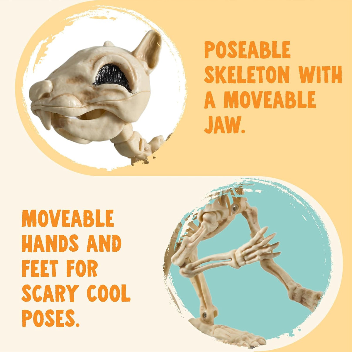 JOYIN Squirrel Skeleton Halloween Decoration 9.1 Inch Animal Posable Skeletons Movable Joints Plastic Bones with Pine Cones for Halloween Haunted House Decor Spooky Scene Garden Patio Party Prop