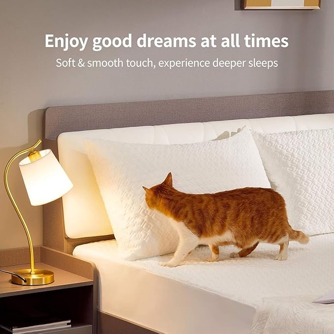 CoolShields Pillow Protector Queen – Waterproof Zippered Pillow Covers - Image 6