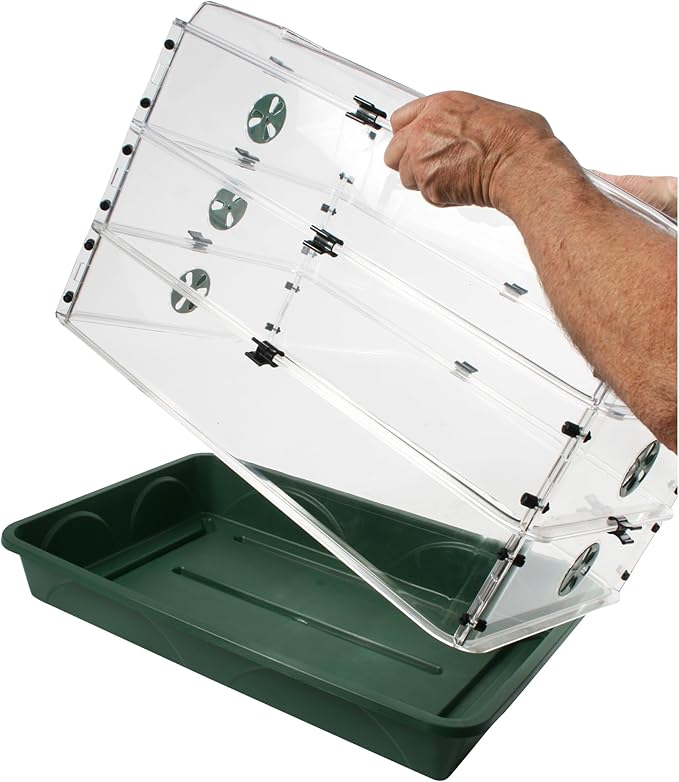 EarlyGrow 24" x 15" x 12.75" Domed Propagator - Image 4