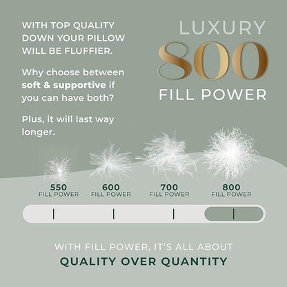 Standard Size Pillow, European Goose Down 800FP - Image 3