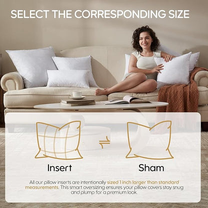 Feather Throw Pillow Inserts Set of 4, Soft Fluffy Square 16 x 16 Inches - Image 3