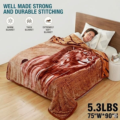 Hiyoko Heavy Korean Mink Lion Blanket - Image 5