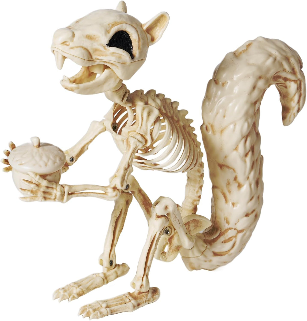 JOYIN Squirrel Skeleton Halloween Decoration 9.1 Inch Animal Posable Skeletons Movable Joints Plastic Bones with Pine Cones for Halloween Haunted House Decor Spooky Scene Garden Patio Party Prop