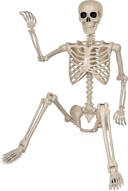 Aimeiar 5.4ft/165cm Life Size Skeleton for Halloween Decorations Outdoor/Indoor,Poseable Halloween Giant Skeletons-Full Body Realistic Bones with Movable Joints for Spooky Party Decoration