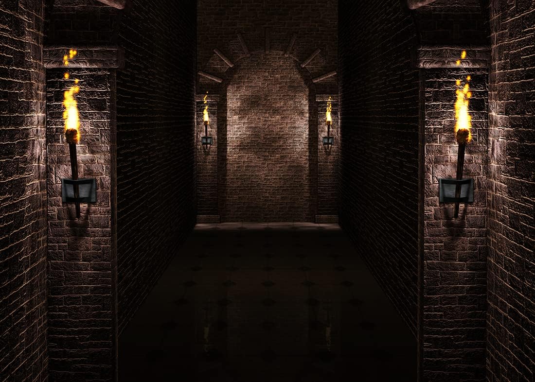 BELECO 12x10ft Fabric Gothic Castle Backdrop Ancient Black Brick Stone Wall Arches Torches Dungeon Medieval Castle Scene Halloween Night Background Medieval Party Decorations Studio Booth Photo Props
