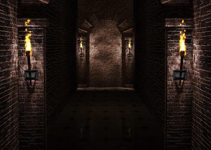 BELECO 12x10ft Fabric Gothic Castle Backdrop Ancient Black Brick Stone Wall Arches Torches Dungeon Medieval Castle Scene Halloween Night Background Medieval Party Decorations Studio Booth Photo Props