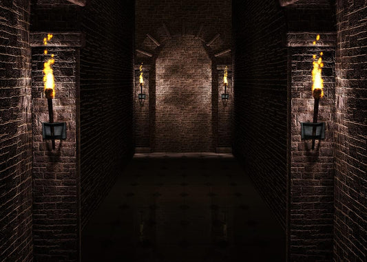 BELECO 12x10ft Fabric Gothic Castle Backdrop Ancient Black Brick Stone Wall Arches Torches Dungeon Medieval Castle Scene Halloween Night Background Medieval Party Decorations Studio Booth Photo Props