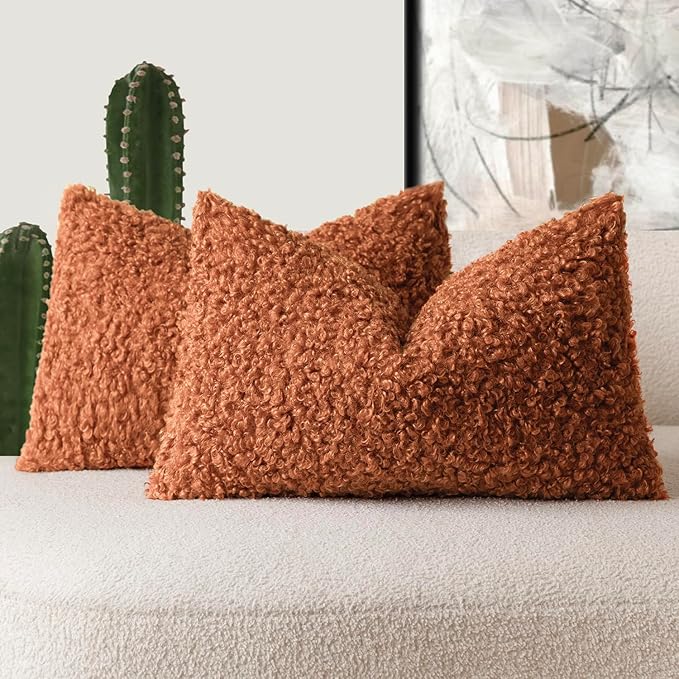 Foindtower Set of 2 Curly Teddy Wool Pillow Covers Decorative Boucle Textured by Foindtower