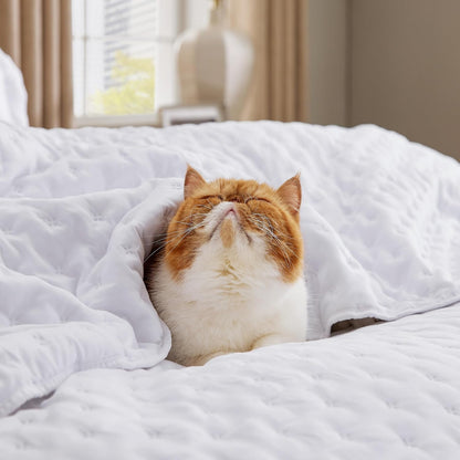 bedsure quilts queen size - lightweight comforter queen, package contents