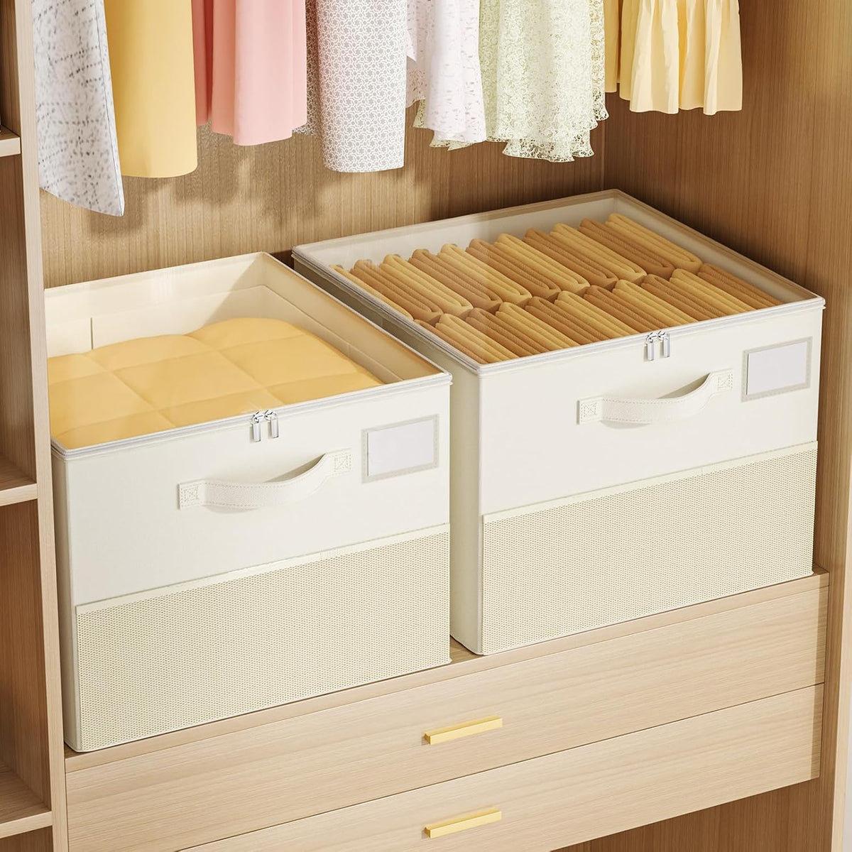 plus size 2 pack shoe organizer for closet, front angle view