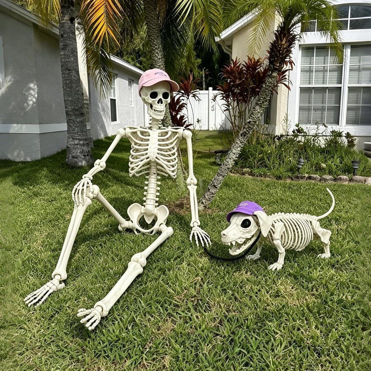 36'' Halloween Skeleton Decoration with Dog: Posable Skeleton Glowing Eyes