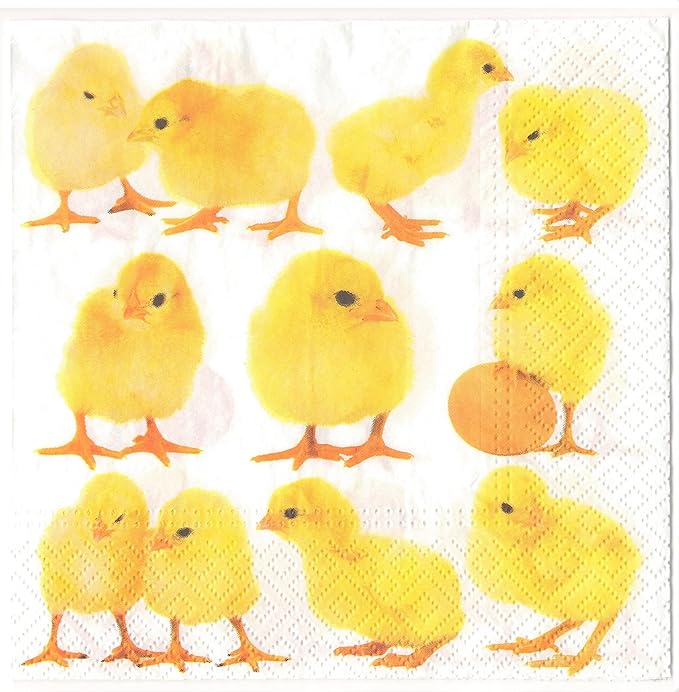 AM Decor Easter Luncheon Paper Napkins 20-Count Dinner Paper Napkins by Importer+AM