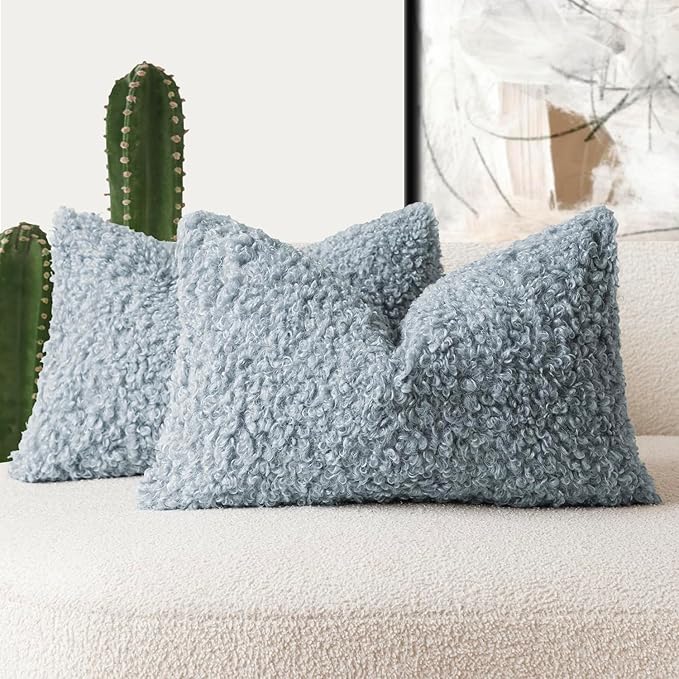 Foindtower Set of 2 Curly Teddy Wool Pillow Covers Decorative Boucle Textured by Foindtower