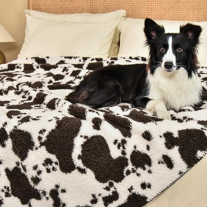 PHF Cute Cow Print Sherpa Blanket Twin Size - Image 8