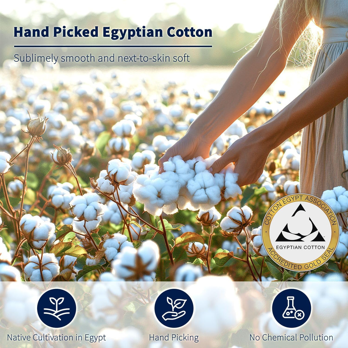 shilucheng 100% egyptian cotton king size sheets set, package contents