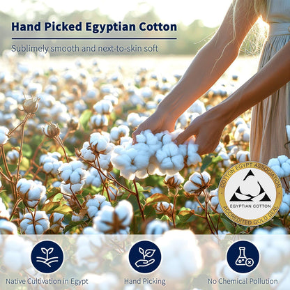 shilucheng 100% egyptian cotton king size sheets set, package contents