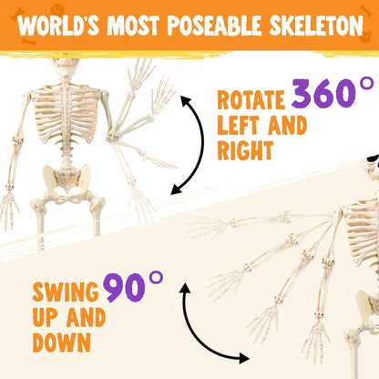 JOYIN 36" Halloween Skeleton Decor, 3FT Full Body Realistic Bones with Stayable Movable Joints, Posable Hanging Skeletons for Halloween Decoration, Yard, Graveyard, Haunted House, Spooky Scene Party
