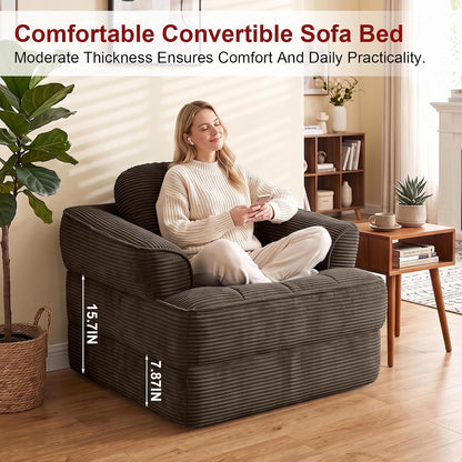 folding sofa bed, 2-in-1 convertible sleeper chair for, package contents