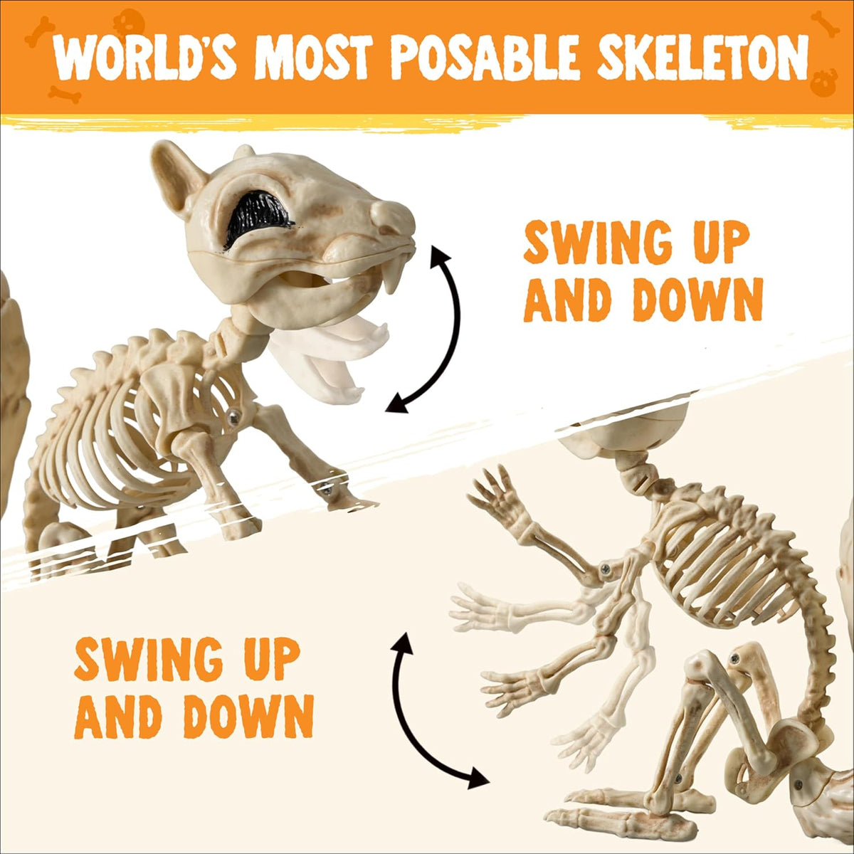 JOYIN Squirrel Skeleton Halloween Decoration 9.1 Inch Animal Posable Skeletons Movable Joints Plastic Bones with Pine Cones for Halloween Haunted House Decor Spooky Scene Garden Patio Party Prop