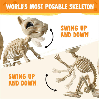 JOYIN Squirrel Skeleton Halloween Decoration 9.1 Inch Animal Posable Skeletons Movable Joints Plastic Bones with Pine Cones for Halloween Haunted House Decor Spooky Scene Garden Patio Party Prop