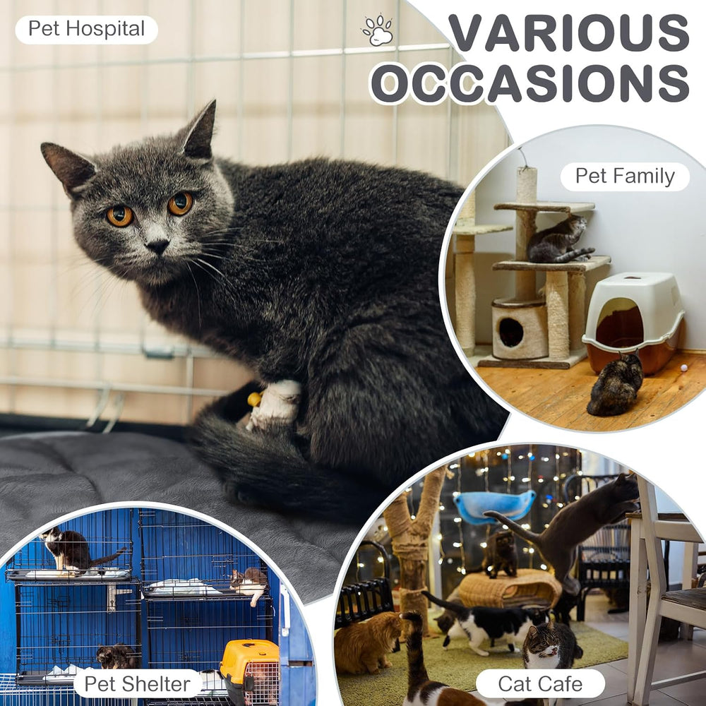 8 Pack Self Heating Cat Mat, Gray, 16 x 16 Inch