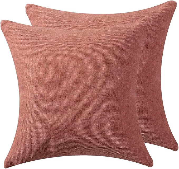 Throw Pillow with Insert 18x18 Inch Set of 2 by Unknown